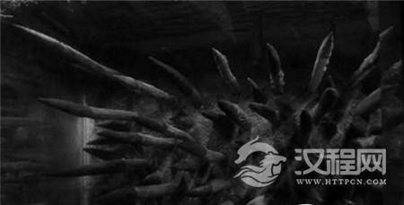 1496641501750871.jpg 1592866893206927943_副本.jpg