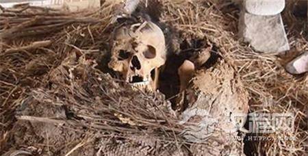 1485059981565877.jpg 1.jpg