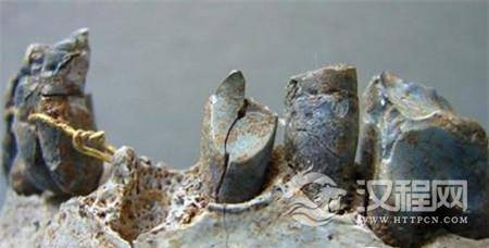 中国发现世上最古老裤子 中国发现世上最古老裤子