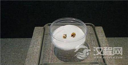 1484298799571565.jpg 145448257782773661.jpg