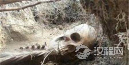 1487215491803872.jpg CF231423104.jpg