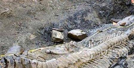 1484878187825146.jpg 1.jpg