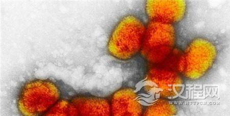 1492760696766555.jpg 1.jpg