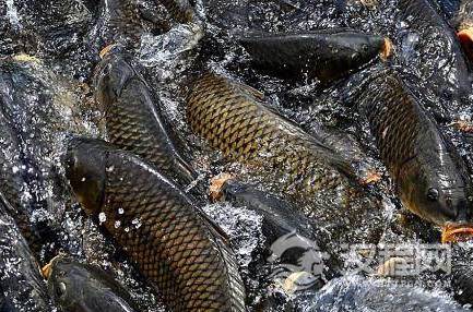 1565314852805260.png image.png