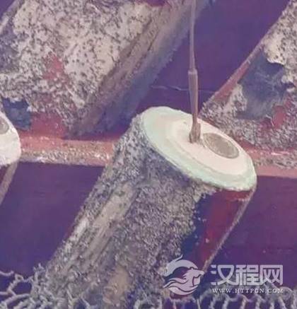 1593761624947404.png image.png