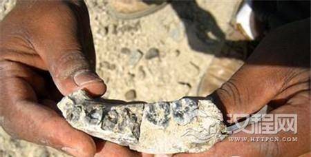 1487129849170029.jpg 8-160414103131241.jpg