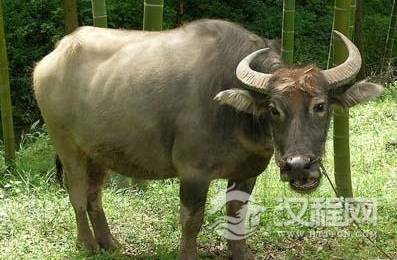 1594611934584251.png image.png