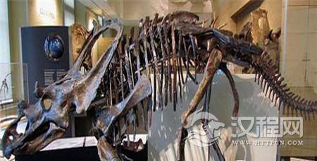 1489125319698205.jpg 20141222023556714_副本.jpg