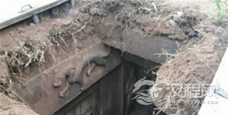 1485151013239877.png 262af2505886ff42413b48b22fce2964.png