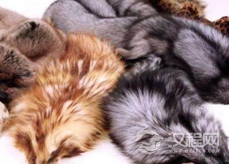 1574219697999582.png image.png