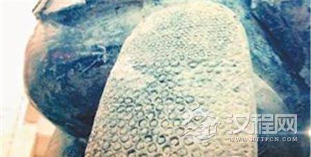 1483664957106217.jpg 154710_600x800.jpg