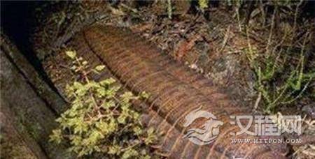 1495011908597446.jpg 7da00035478cddc1740.jpg@100q.jpg