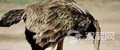 1516259218524847.png blob.png