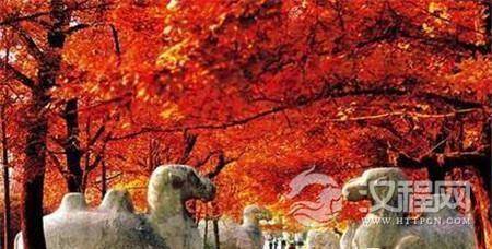 1492930412130451.jpg 2.jpg