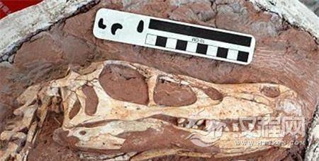 1486956397614555.jpg 1.jpg