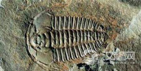 史前核反应 史前核反应