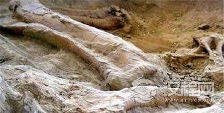 1486956413457307.jpg 3.jpg