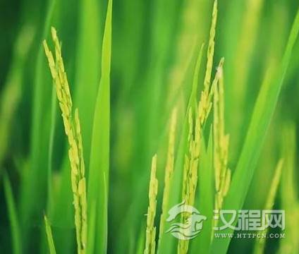 1599784959472138.png image.png