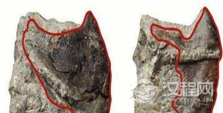 1487072650203669.jpg QQ截图20170214194450_副本.jpg