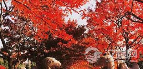 1482374842303368.png blob.png