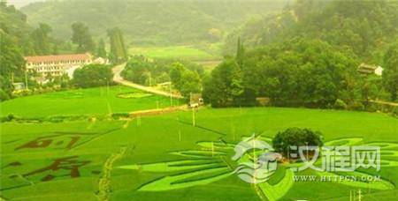 1503469295179160.jpg 32270003c7abc15d97c0.jpg