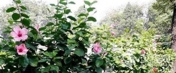 1542691881519839.png image.png