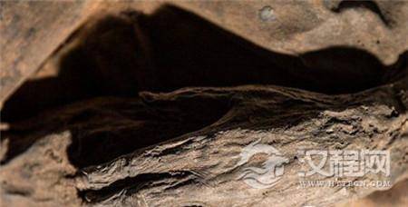 1492760704282551.jpg download.jpg