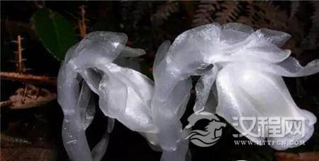 1498546782569505.jpg 3_副本1.jpg