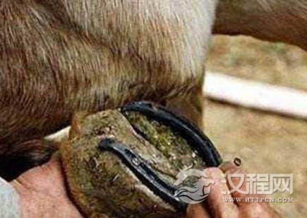 1572934793157390.png image.png