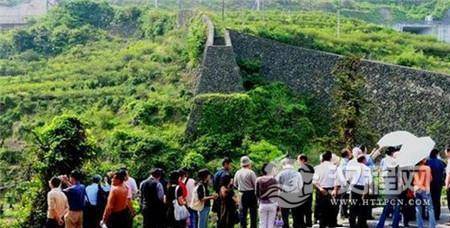 1498641951332362.jpg QQ截图20170627110818.jpg