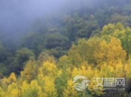 1600213805555531.png image.png