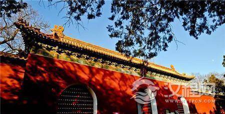 1491027907913683.jpg 2_副本.jpg