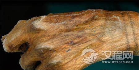 冰人木乃伊 冰人木乃伊