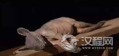 1518230317583913.png blob.png