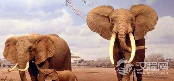 1516259235510638.png blob.png