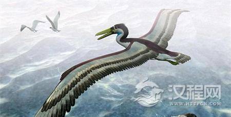 1487684298559765.jpg 001e4ff5da770a49c54a01_副本.jpg