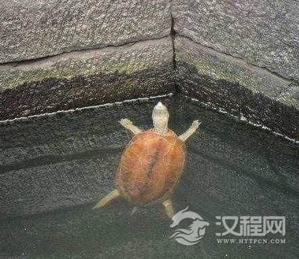 1580277995519122.png image.png