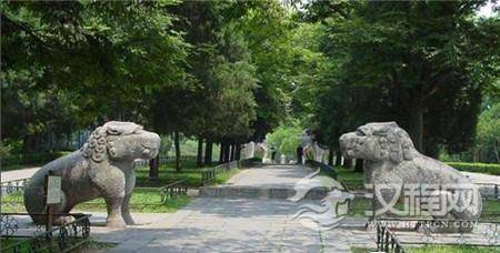 1491027917210638.jpg 3.jpg