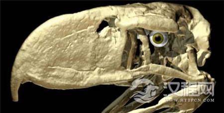 1487128484853746.jpg 8-160414103131241.jpg