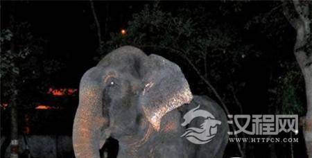 1492066419118468.jpg 2_副本.jpg