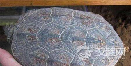 1490509770831658.jpg 501225148.jpg@100q.jpg