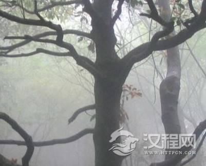 1600213799301233.png image.png