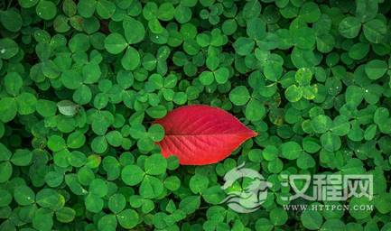 1601190817713025.png image.png