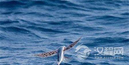 1486627280788660.jpg 1.jpg