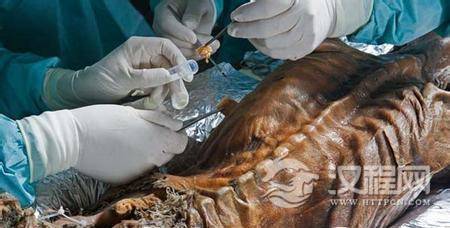 1486867041997795.jpg 5-160ZG63552Q3.jpg