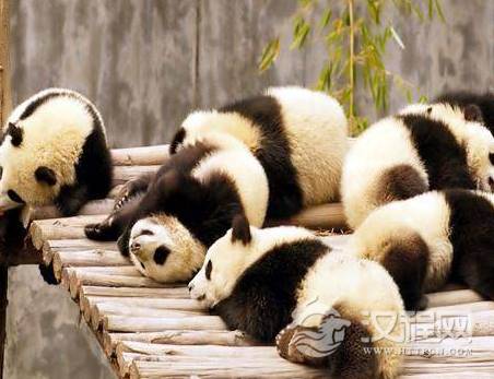 1592208678157822.png image.png