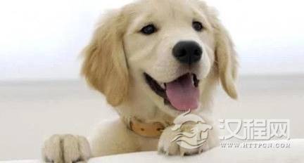 1594367334699463.png image.png