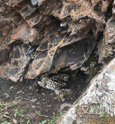 1517540516942302.jpg 1497837548310495.jpg