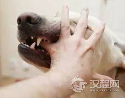 1594367331276813.png image.png