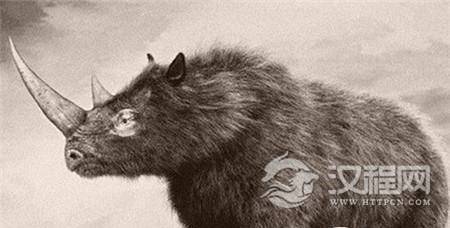 1485074189505643.jpg 2.jpg